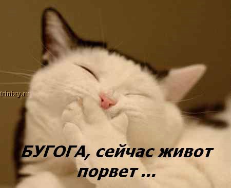 ���� �� ���� ����� ��������... :)
