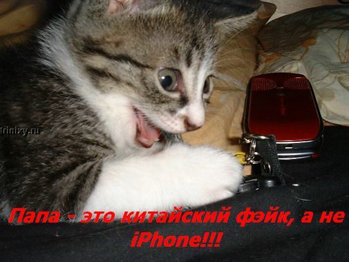 ���� �� ���� ����� ��������... :)