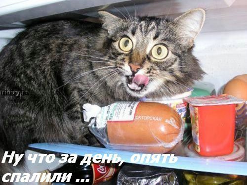 ���� �� ���� ����� ��������... :)