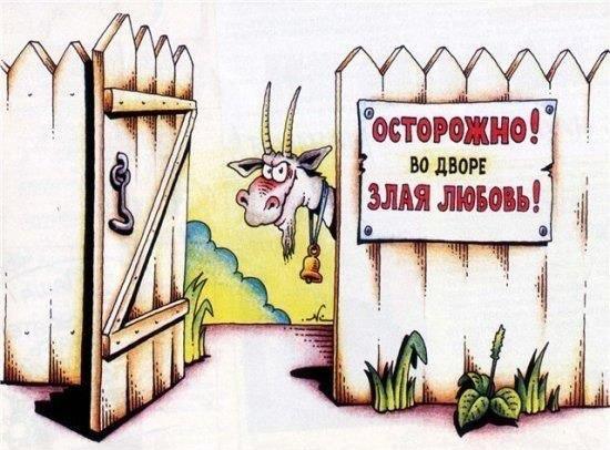 Рисунки о любви смешные Рисунки о любви смешные