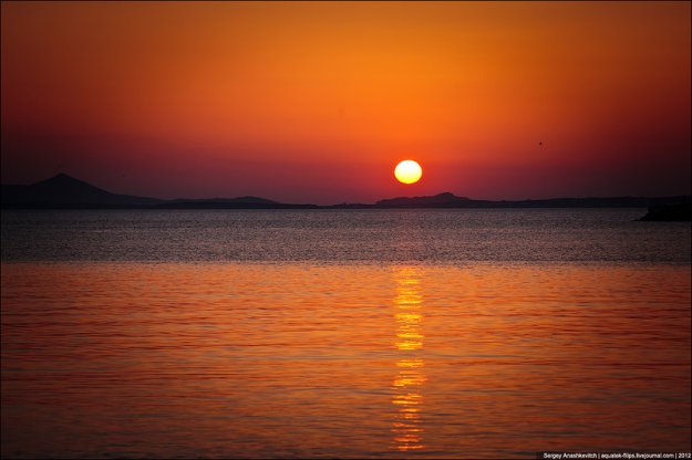 ����, ����, ������