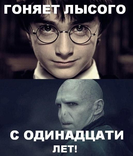 Картинка дня