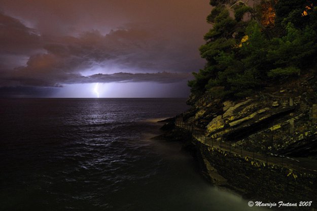 ����������  �������� �������