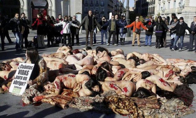 ����� ���