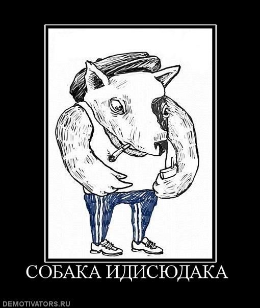 Размещенное изображение