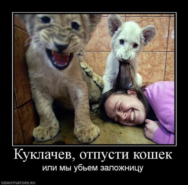 Размещенное изображение