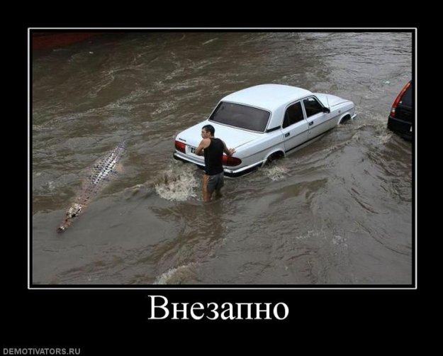 Размещенное изображение