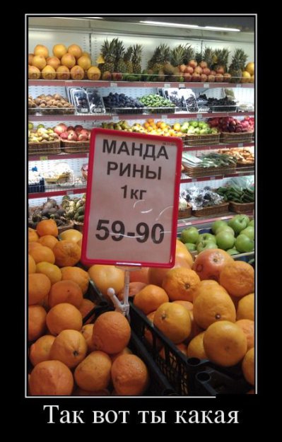 Картинка дня