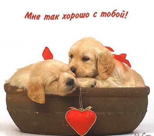 http://bm.img.com.ua/img/prikol/images/large/8/8/134288_227296.jpg