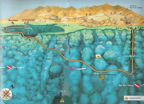 Голубая Дыра (Blue Hole ) в Дахабе - один из самый загадочных и красивых рифов Красного моря, считается одним из лучших мест погружения мирового класса и одним из самых опасных…