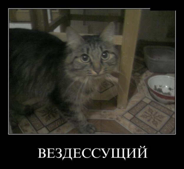 Картинка дня