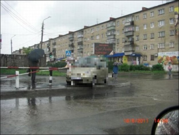 ������� ��������