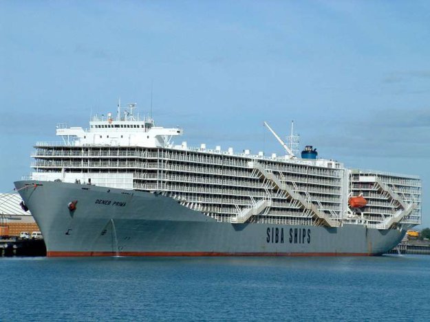 ����� ������� ������� ��� ��������� �����