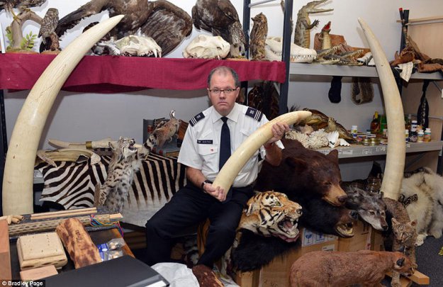 �������������� ����������� � ��������� ������