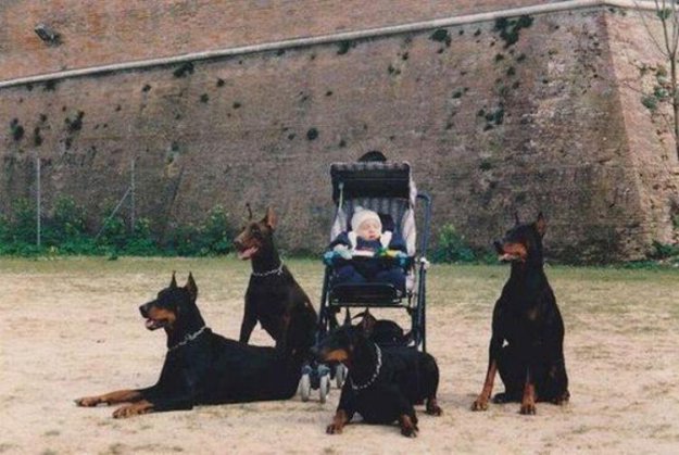 ������ ����