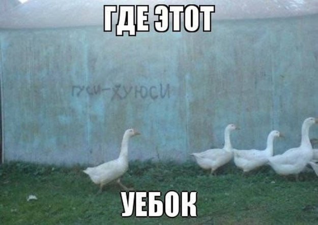 Картинка дня