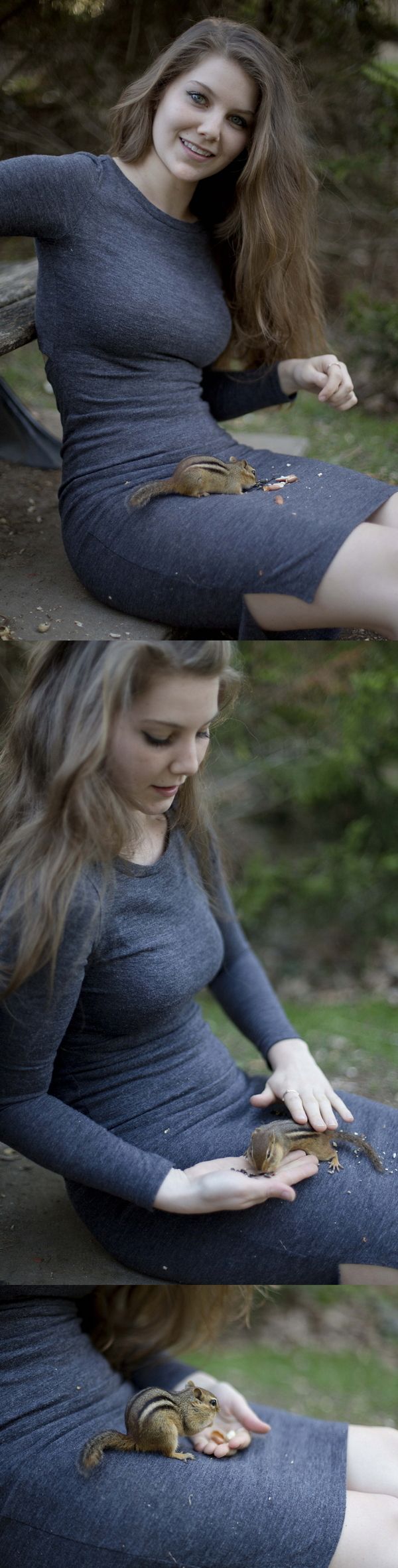 ���������� ��������