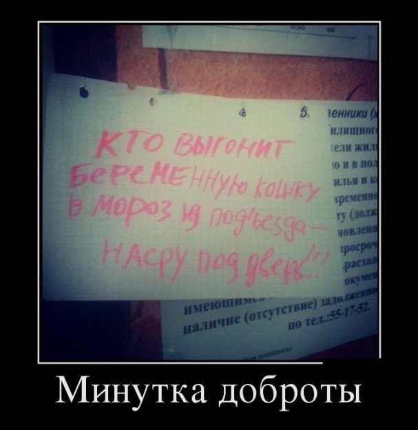 Картинка дня