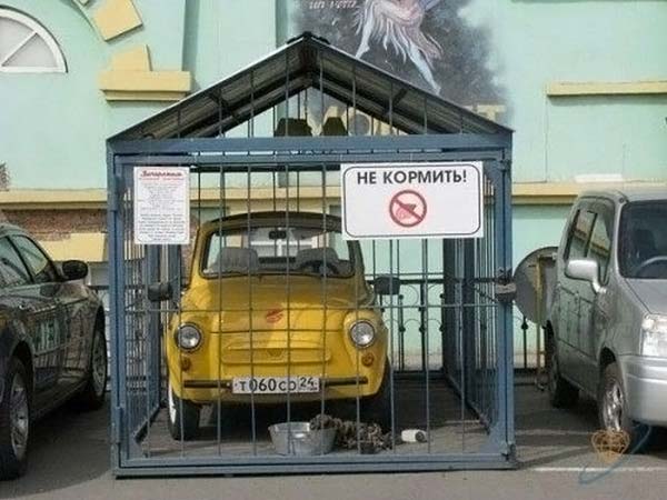 Размещенное изображение