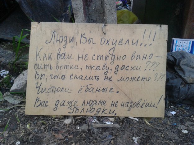 Картинка дня