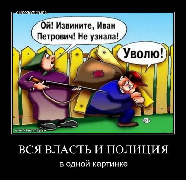 Картинка дня