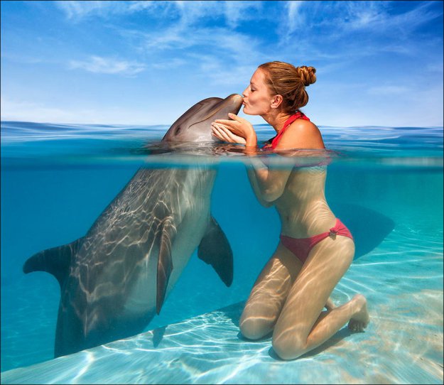 ������� ����