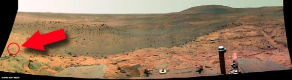 На Марсе нашли жизнь?