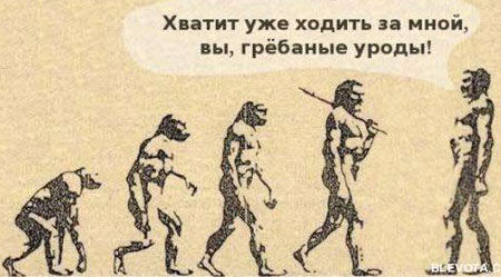 Эволюция?