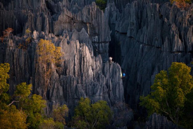 «Каменный лес» в национальном парке Цинги-де-Бемараха на Мадагаскаре