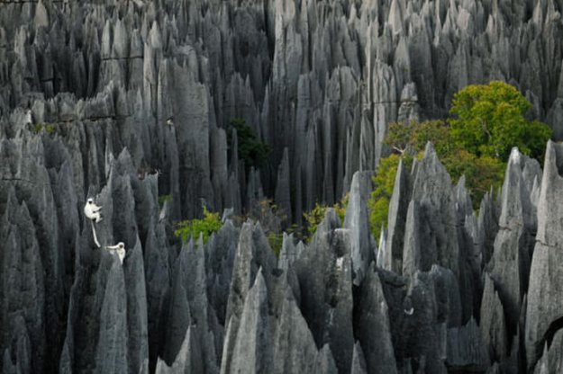 «Каменный лес» в национальном парке Цинги-де-Бемараха на Мадагаскаре