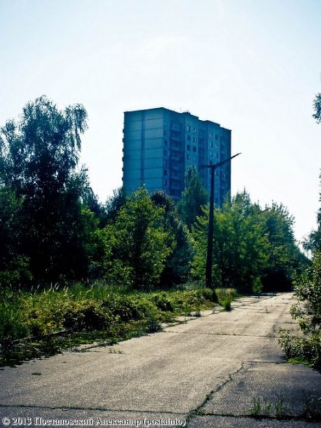 Времена года в зоне отчуждения Чернобыльской АЭС