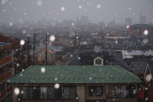 В Токио впервые за 54 года первый снег выпал в ноябре