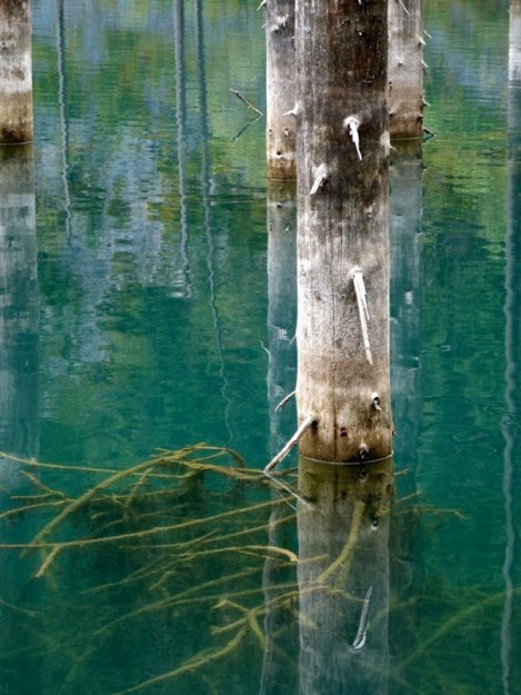 Затопленный лес озера Каинды