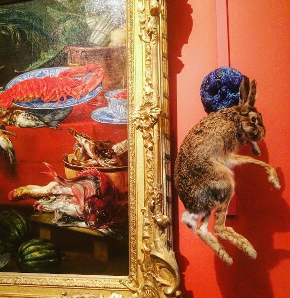 Выставка чучел животных вызвала недовольство среди посетителей Эрмитажа