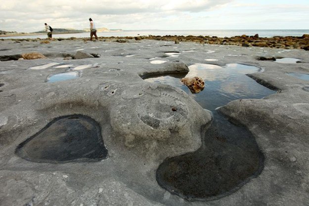 Пляж Юрского периода, Лайм Реджис