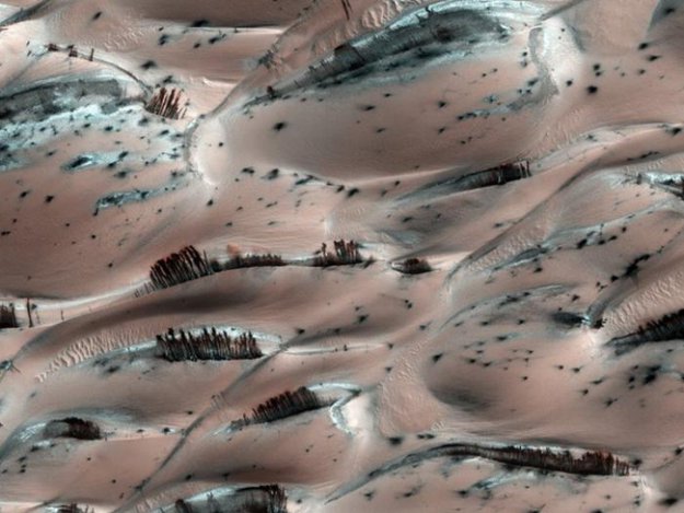 Свежие Фото С Марса