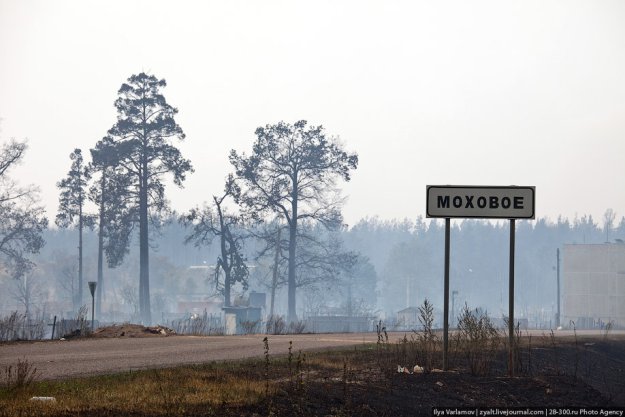 Московская область горит