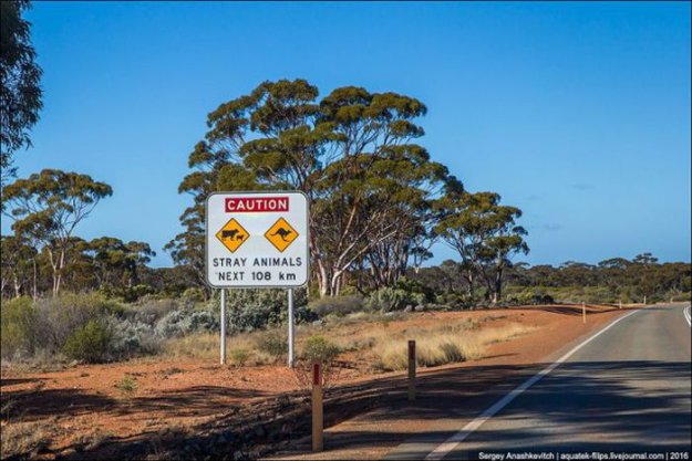 Идеальные австралийские дороги