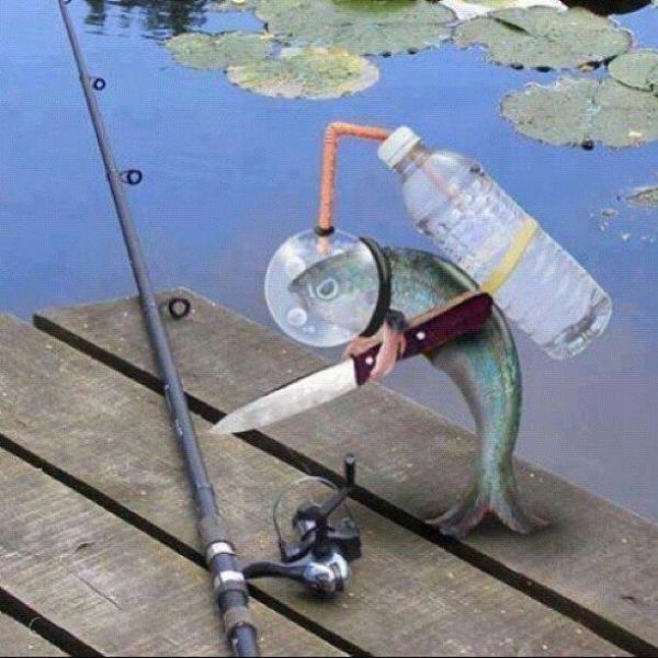 Немного о рыбалке..))