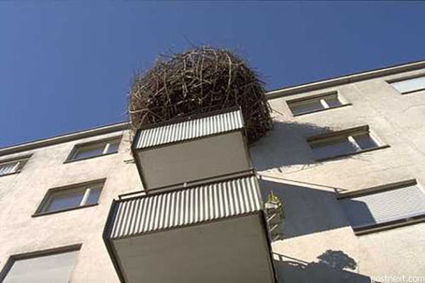 Голубийное гнездо на балконе. Балкон не мой :))