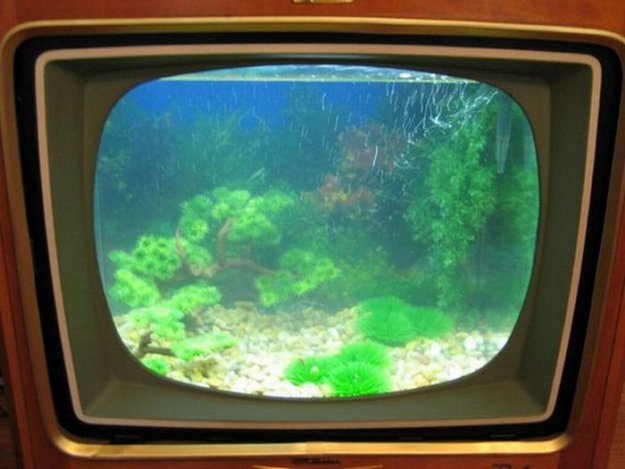 Как из старого телевизора сделать аквариум