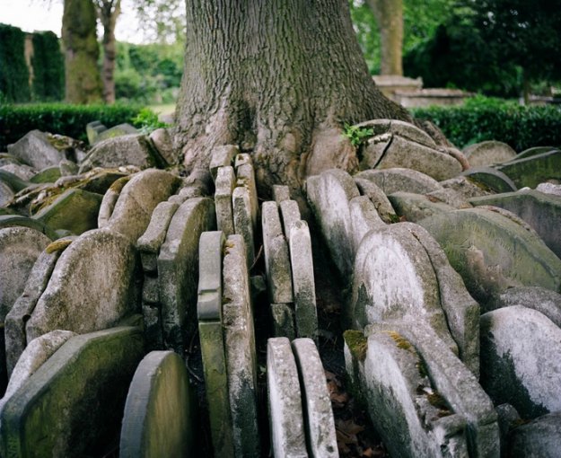Надгробия у дерева (Лондонская достопримечательность)
