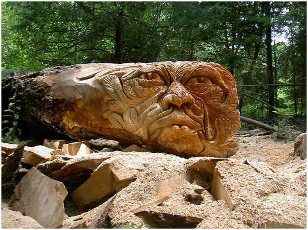 Жизнь срубленных деревьев от художника Томми Краггса