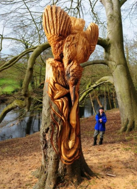 Жизнь срубленных деревьев от художника Томми Краггса