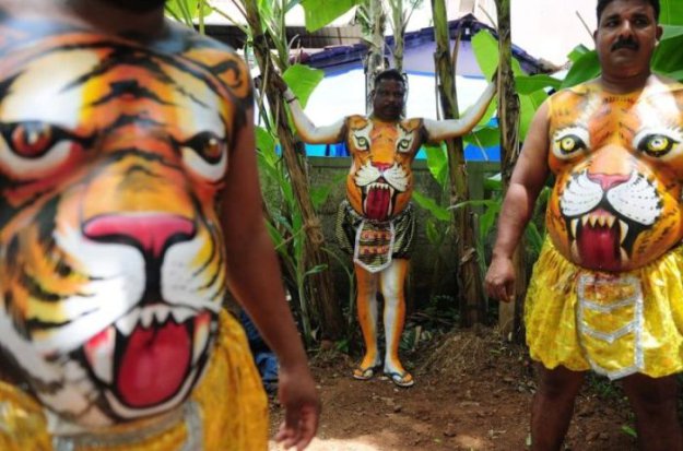 Тигриный фестиваль Пули Кали в Индии