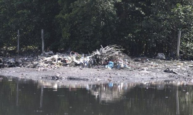 Загрязненная вода Рио-де-Жанейро