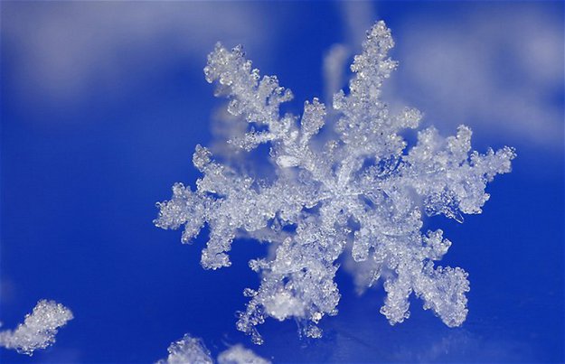 Мир снежинок и инея в макрообъективе Брайана Валентайна