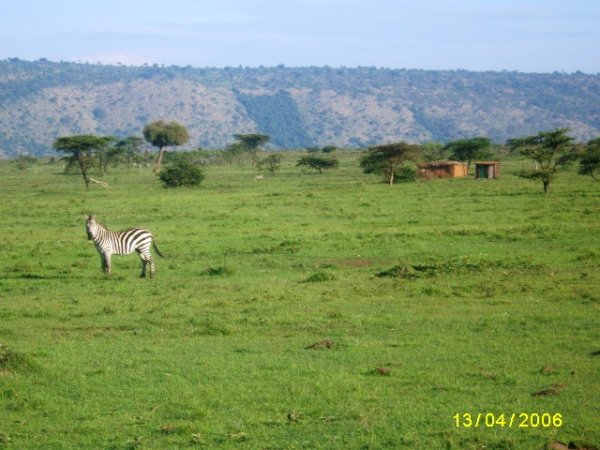 Season1 Kenya