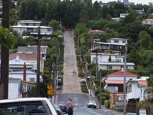 самая крутая улица находится в Новой Зеландии-Baldwin street