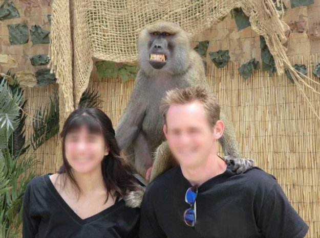 Фото с обезьянкой